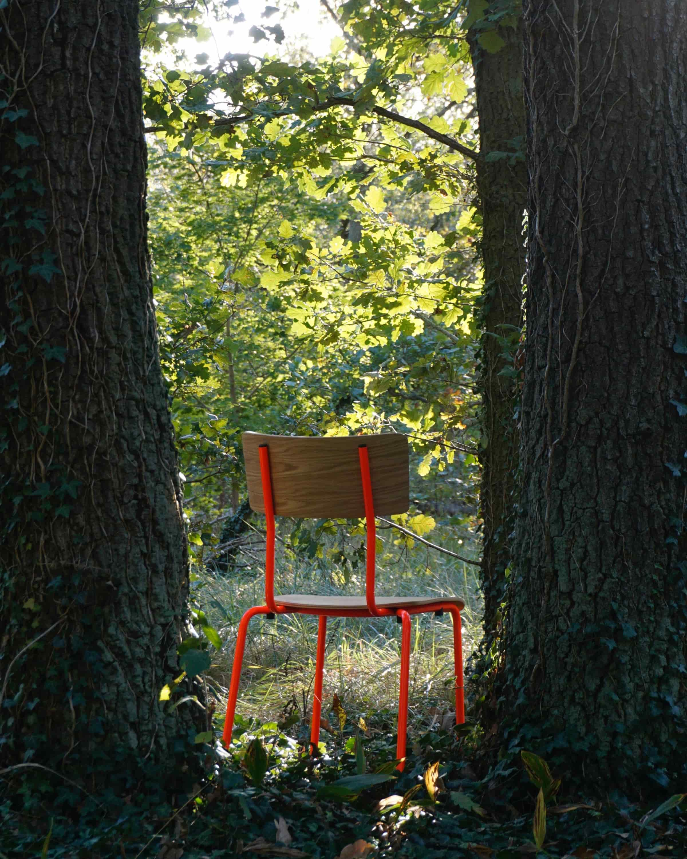 Bunter Eichenstuhl - Stapelbarer Holzstuhl in vielen Farben von Terravinossa