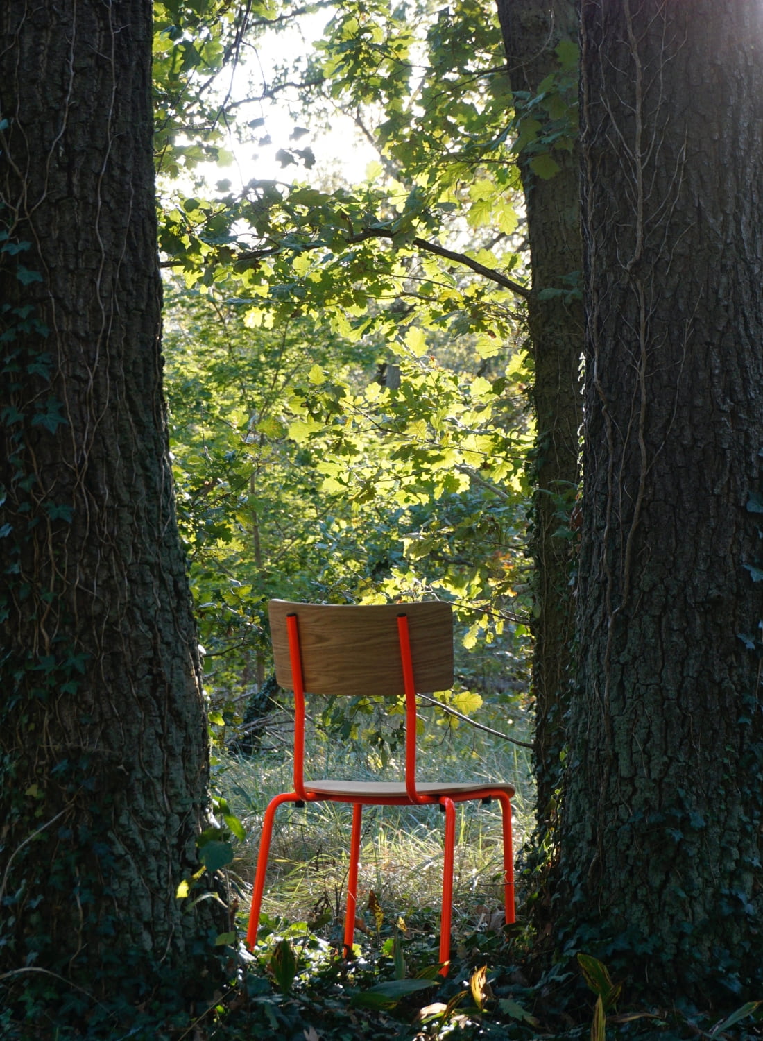 Bunter Neon leuchtender Stuhl mit leuchtorangenem Stahlgestell und Eichenholz in der Natur